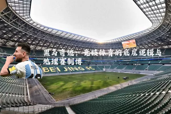 黑马奇迹:竞技体育的底层逻辑与地理赛制博弈